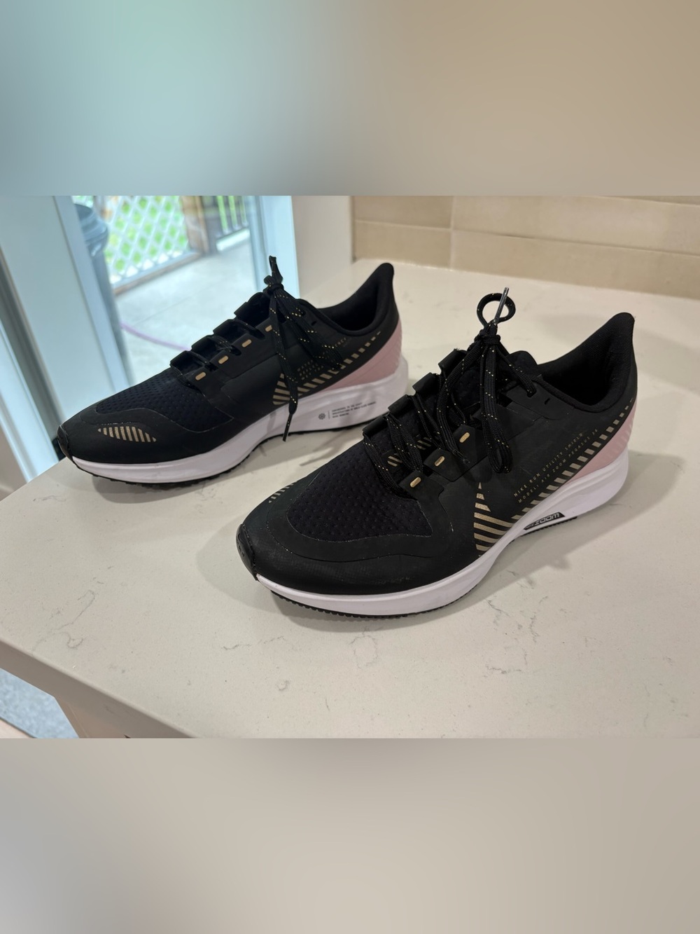 Womens Nike Air Zoom Pegasus 36 Shield